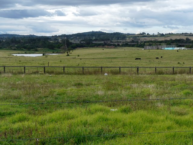 Macarthur's Farm, South Camden